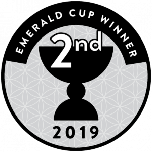 2019 Emerald Cup 2nd place - Beezle