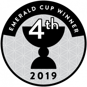2019 Emerald Cup 4th place - Beezle
